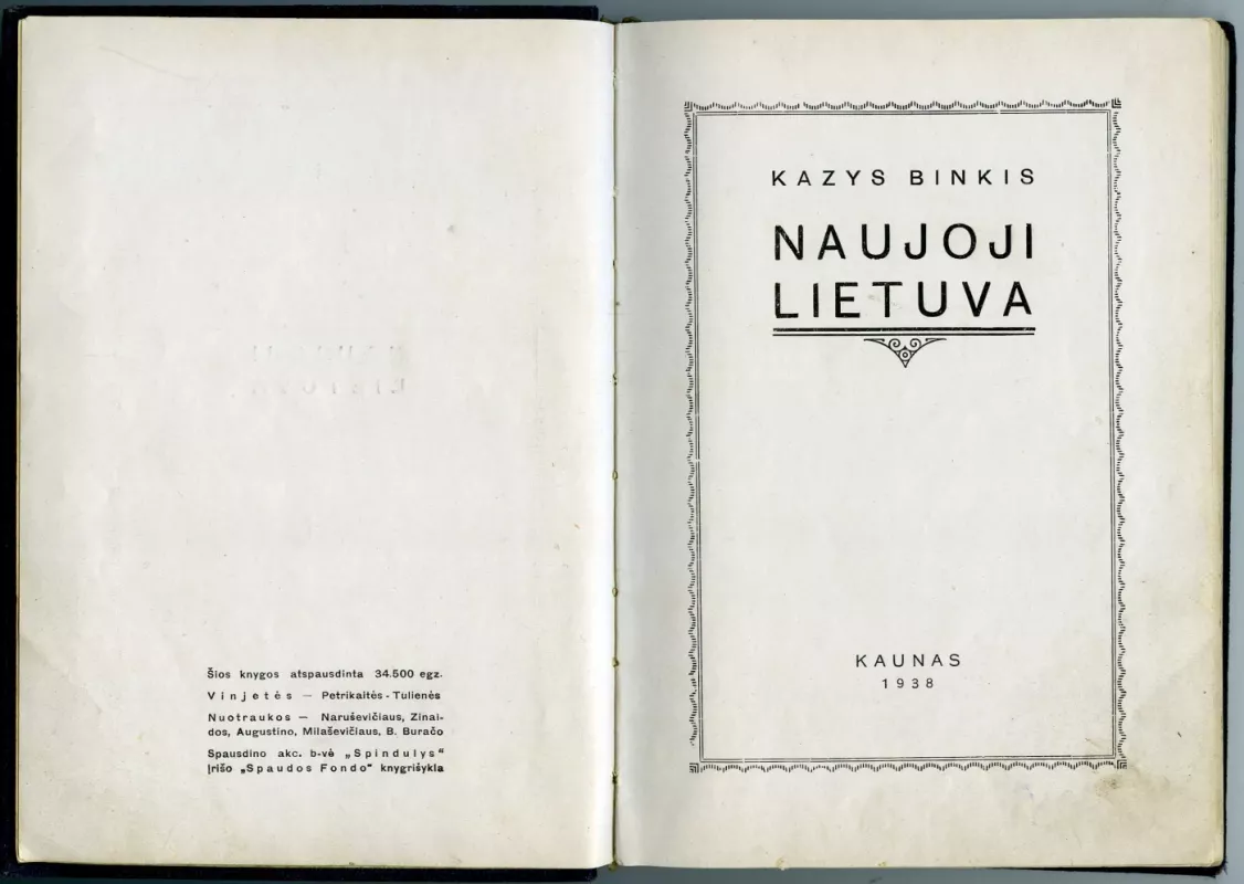 Naujoji Lietuva - Kazys Binkis, knyga 4