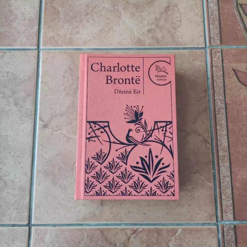 Džeinė Eir - Charlotte Bronte, knyga 2