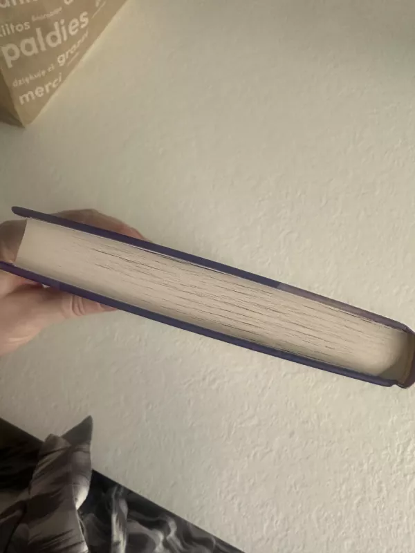 Sugrįžimas į sapnų krautuvę - Miye Lee, knyga 4