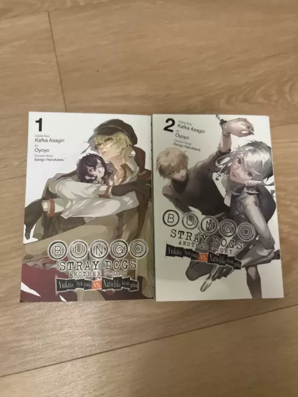 stray dogs another story - Kafka Asagiri, knyga 2