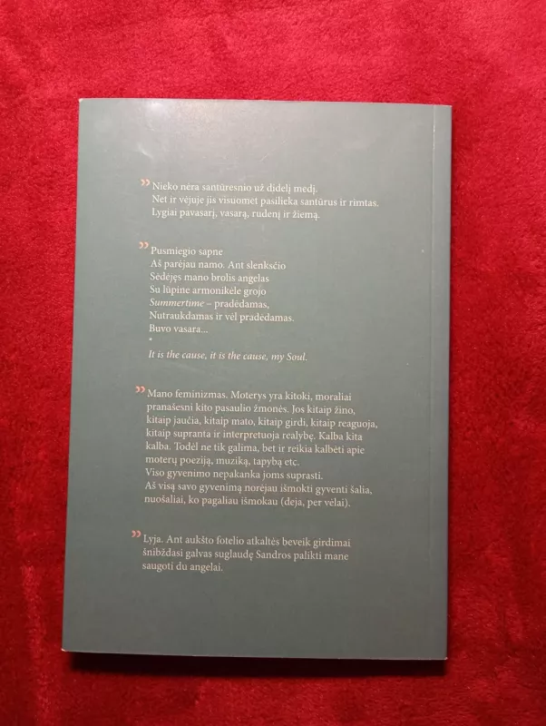 Dienoraščio fragmentai 2009 - 2012 - Alfonas Nyka-Niliūnas, knyga 3
