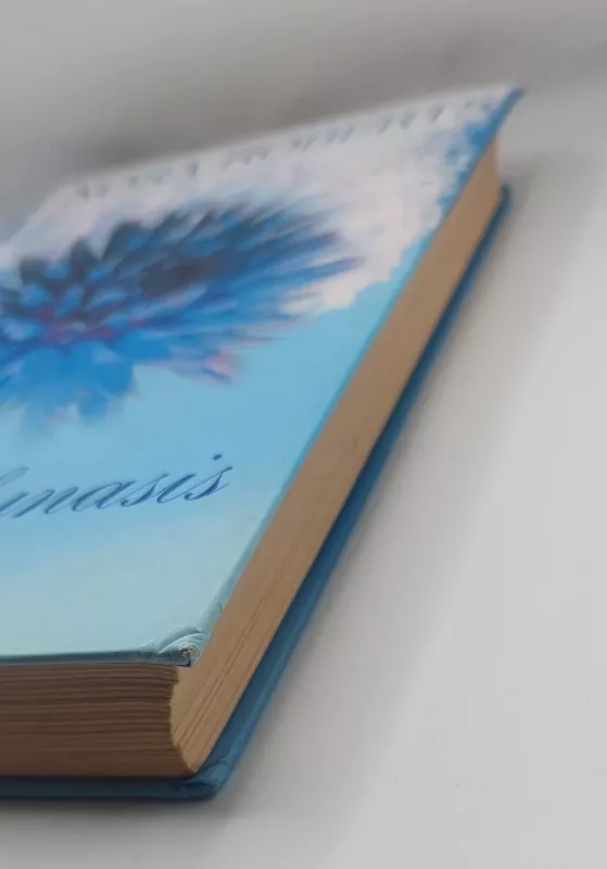 Mėlynasis jurginas - Nora Roberts, knyga 4