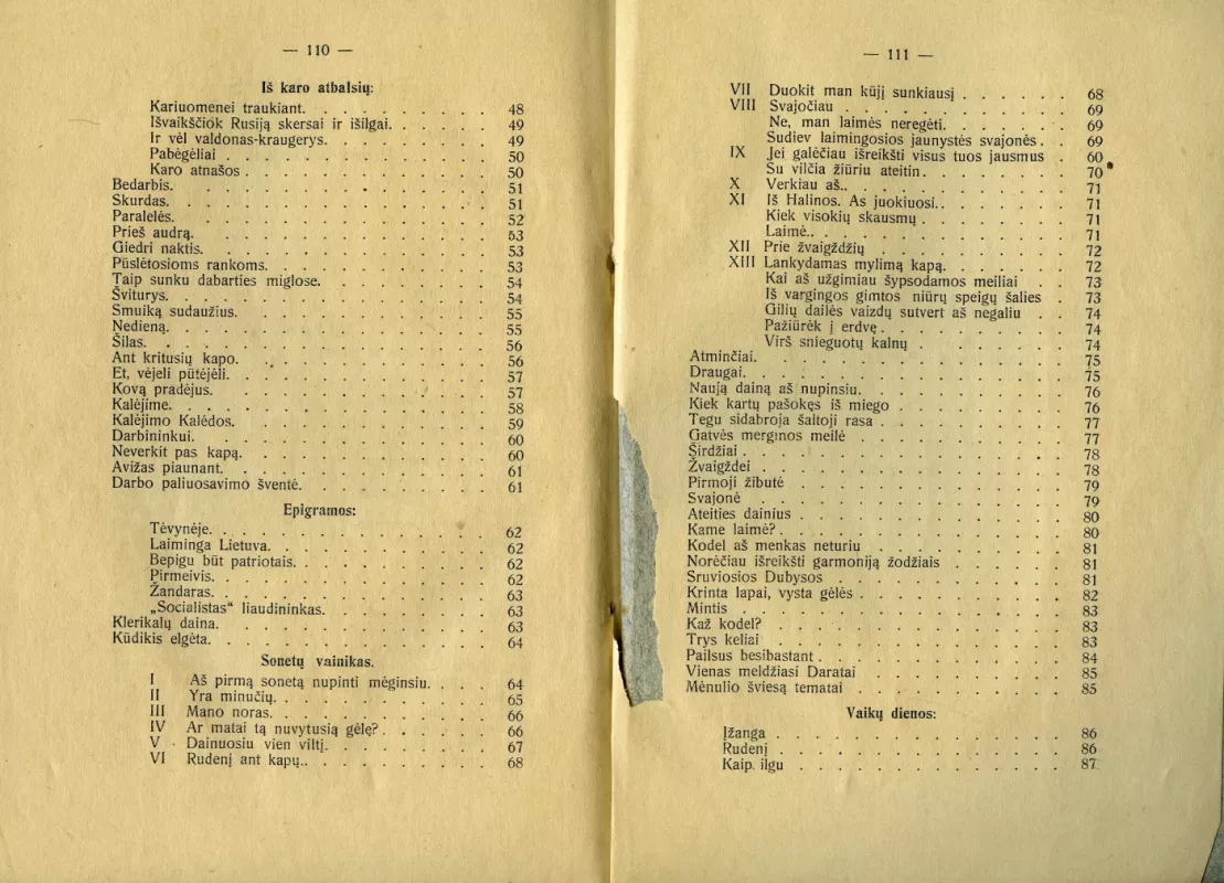 Janonio raštai - Julius Janonis Vaidilos Ainis, knyga 4