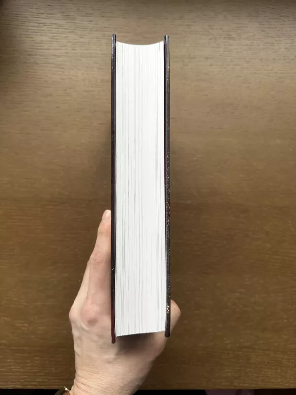 Treciojo Reicho triumfas. Antrasis pasaulinis karas Europoje. Pirma knyga - Robertas Petrauskas, knyga 3