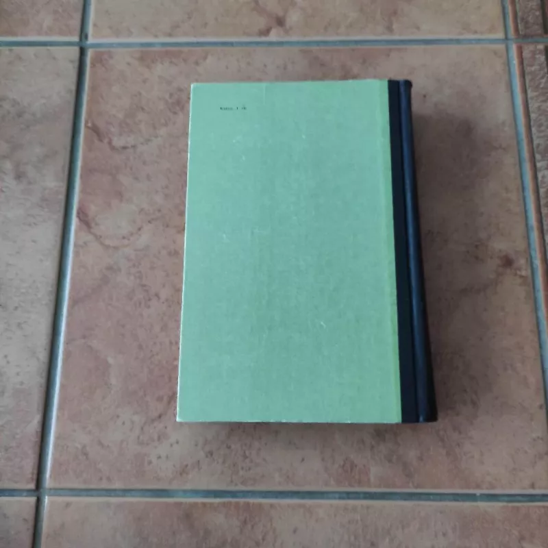 Titanas - Teodoras Dreizeris, knyga 3