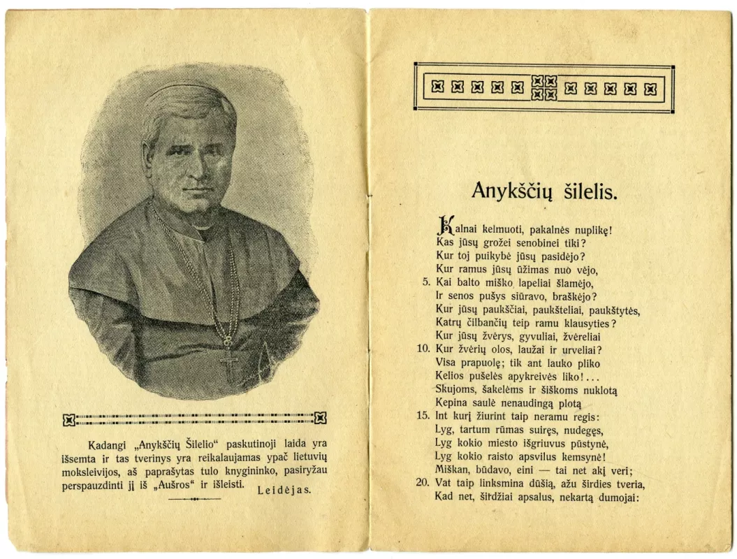 Anykščių šilelis - Vyskupas Antanas Baranauskas, knyga 4