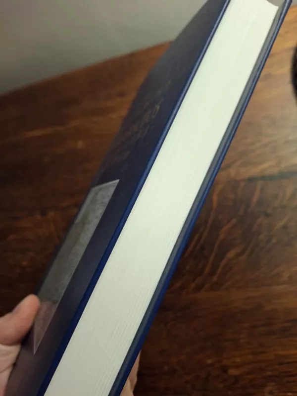 Lietuvos Didžiosios Kunigaikštystės Konfederacijos susidarymas ir veikla 1792-1793 metais - Ramunė Šmigelskytė-Stukienė, knyga 6