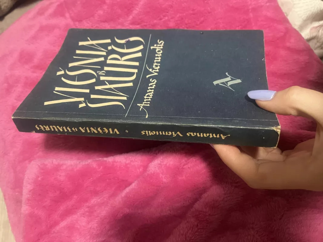 Viešnia iš Šiaurės - Antanas Vienuolis, knyga 4