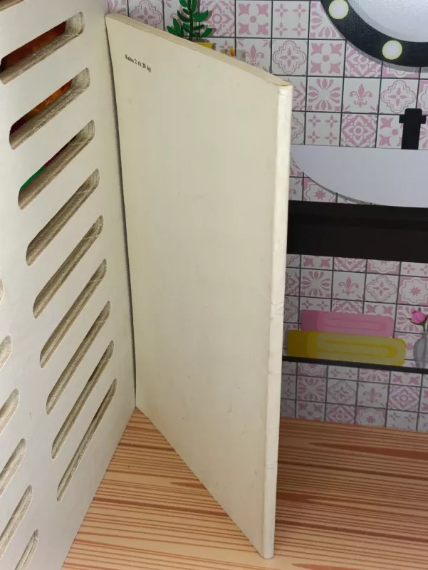 Bažnyčia susirinkimuose - Vytautas Zakaras, knyga 3