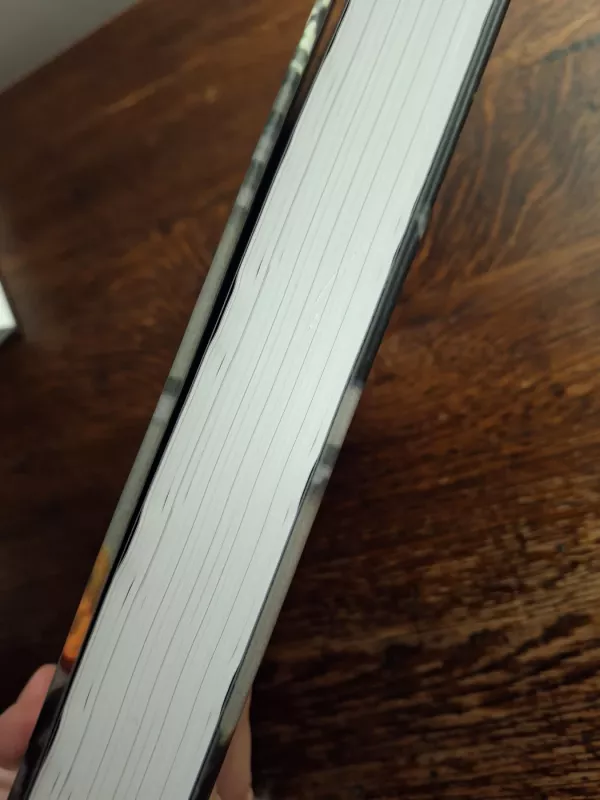 Paskutinė kadencija - Valdas Adamkus, knyga 3