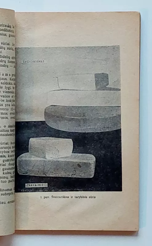 Pienas ir pieniškas maistas - Juozas Bernatonis, Konstancija  Brundzienė, knyga 6