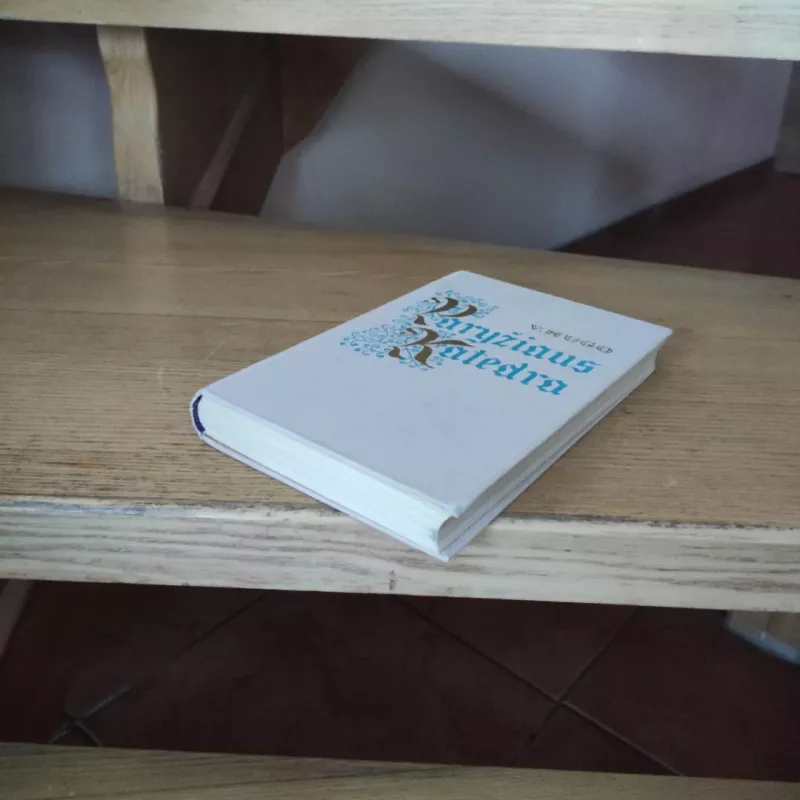 Paryžiaus katedra - Viktoras Hugo, knyga 6