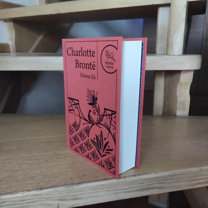 Džeinė Eir - Charlotte Bronte, knyga 5