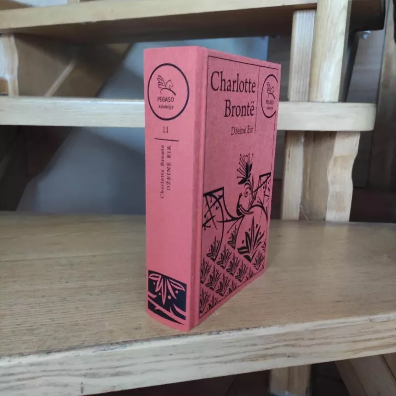 Džeinė Eir - Charlotte Bronte, knyga 4