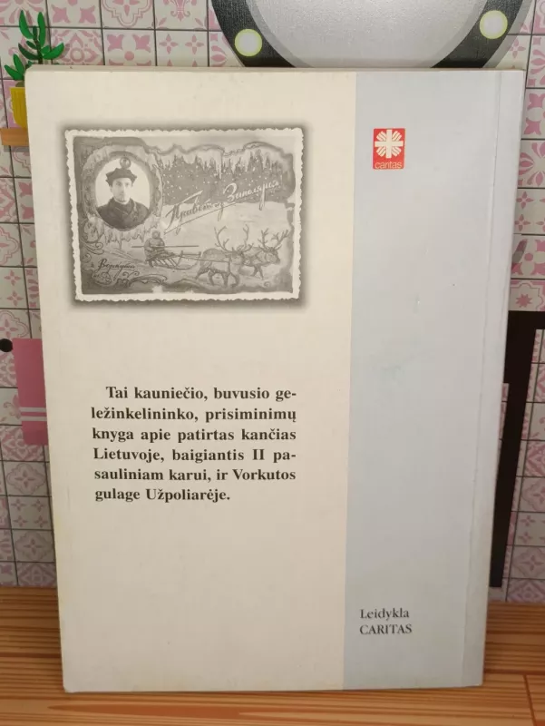 Baltųjų meškų šešėliuose - Mečislovas Liutkevičius, knyga 3