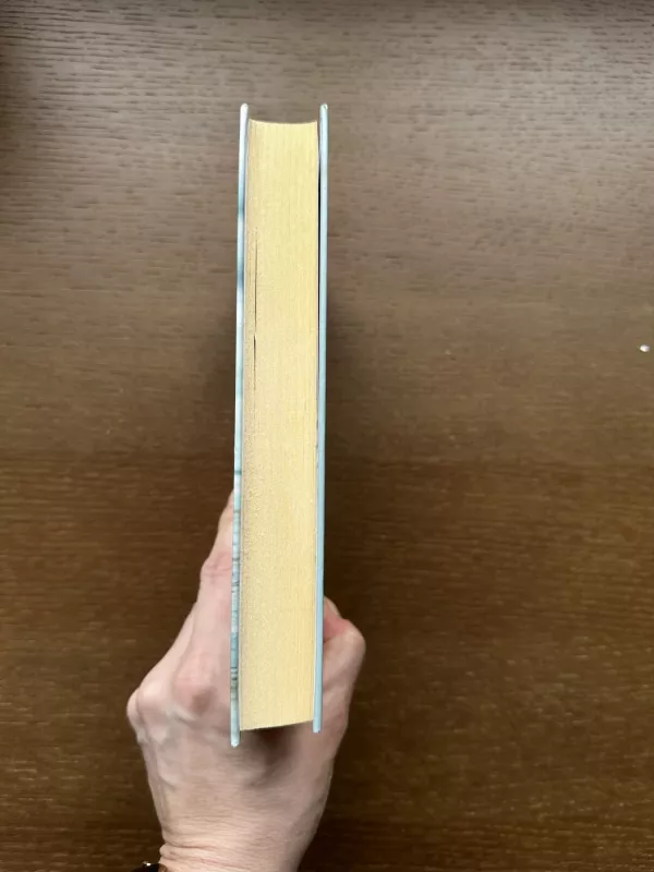 „Neištikimybė. Kaip išgydyti partnerio sukeltą skausmą ir atgauti pasitikėjimą“ - Janis A.,  Spring Michael Spring, knyga 3