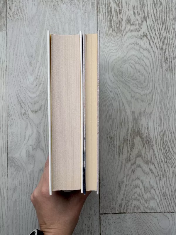 Nerimo knyga - Fernando Pessoa, knyga 5