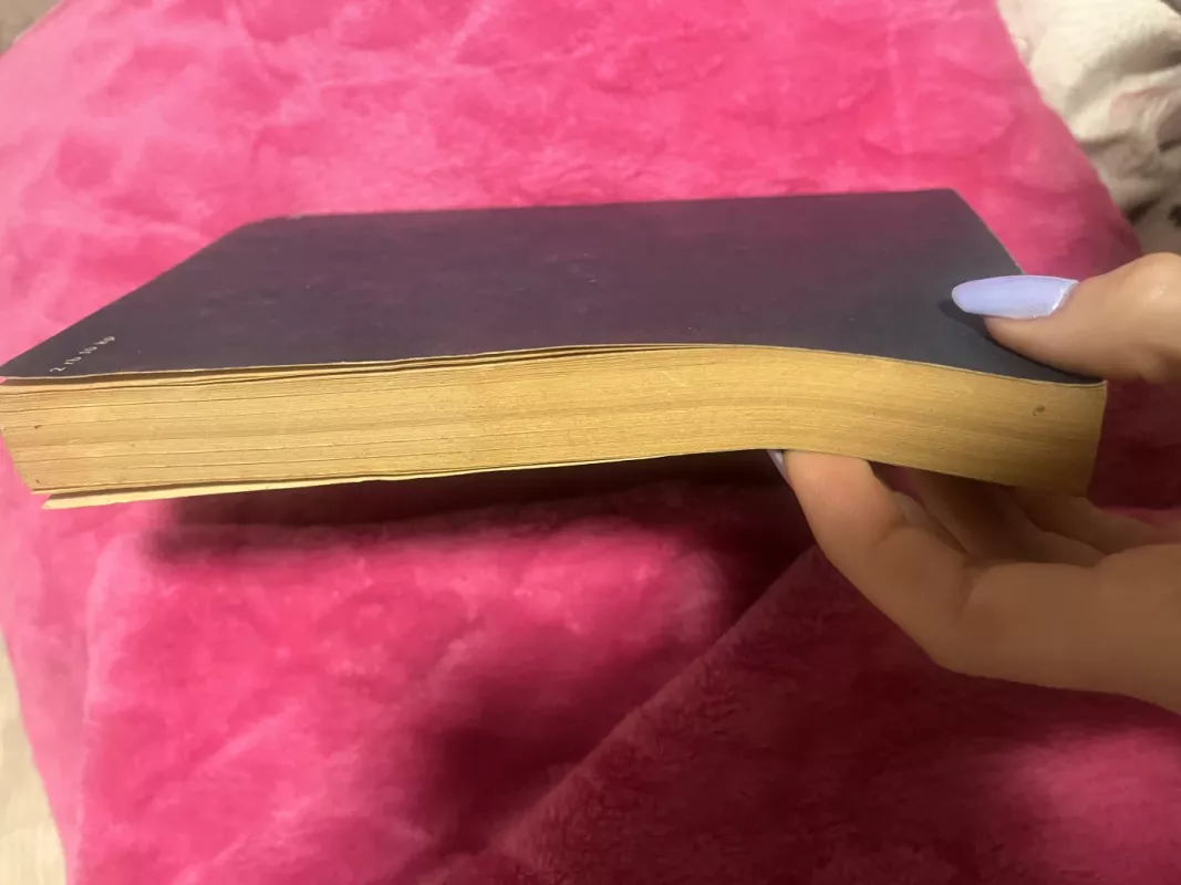 Viešnia iš Šiaurės - Antanas Vienuolis, knyga 5