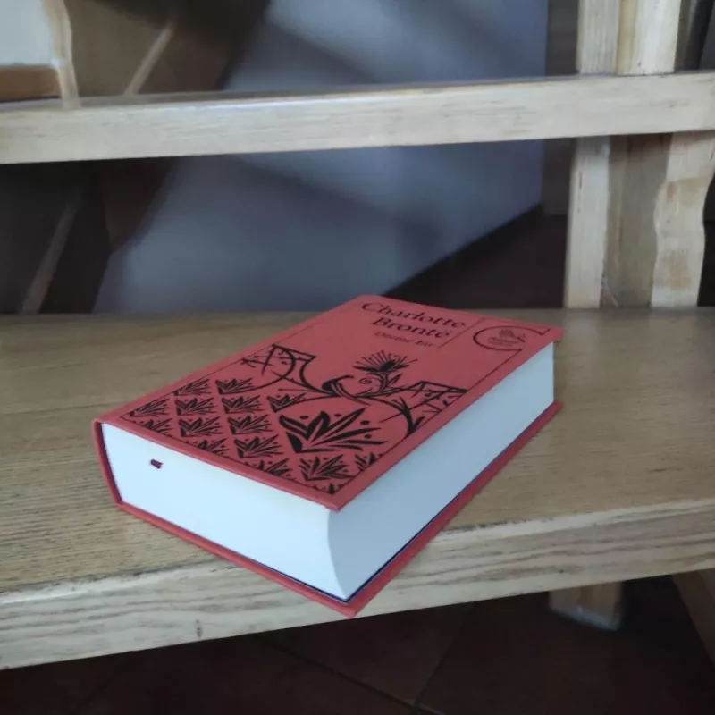 Džeinė Eir - Charlotte Bronte, knyga 6