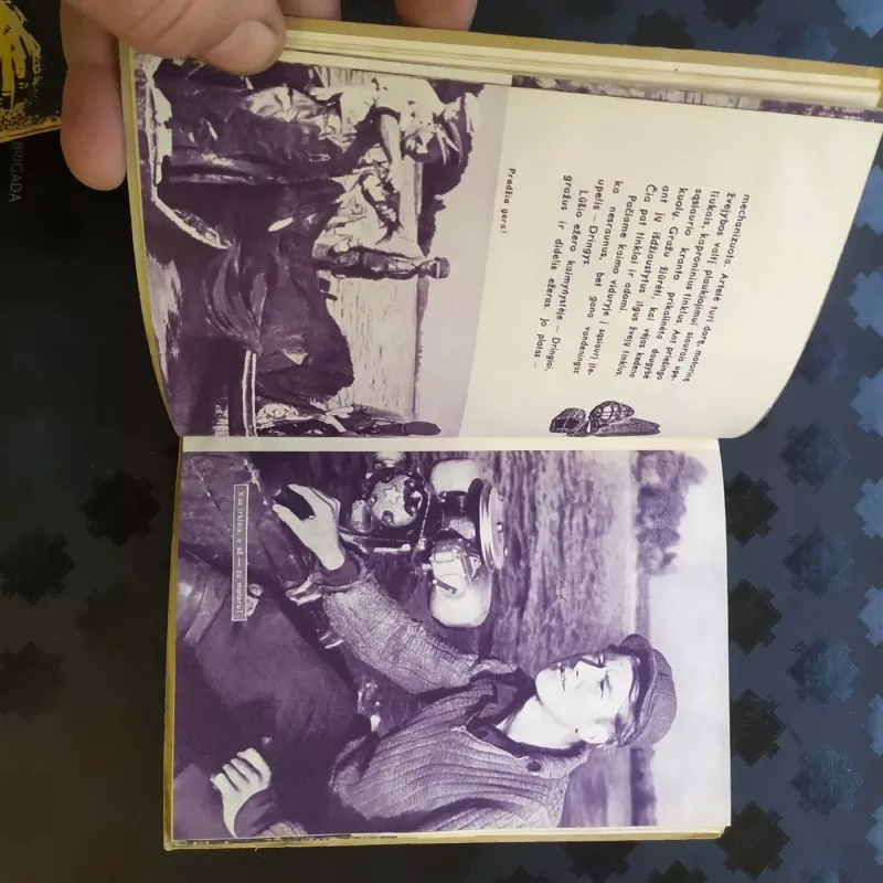 Ežerų vilnimis - Domas Šniukas, knyga 2