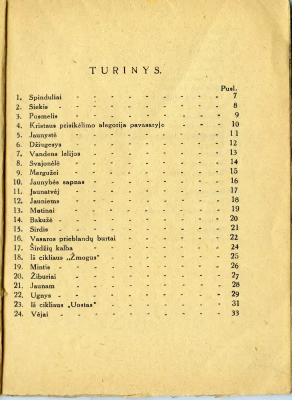 Spinduliai ir šešėliai - Leonas Vitkauskas, knyga 5