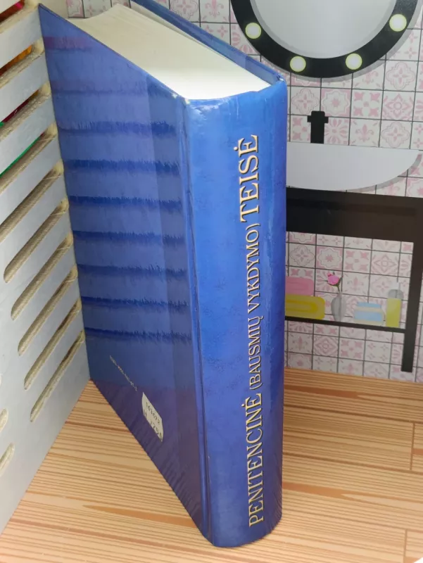 Penitencinė (bausmių vykdymo) teisė - Jonas Blaževičius, Julius  Dermontas, Pranas Stalioraitis, Dmitrij Usik, knyga 5