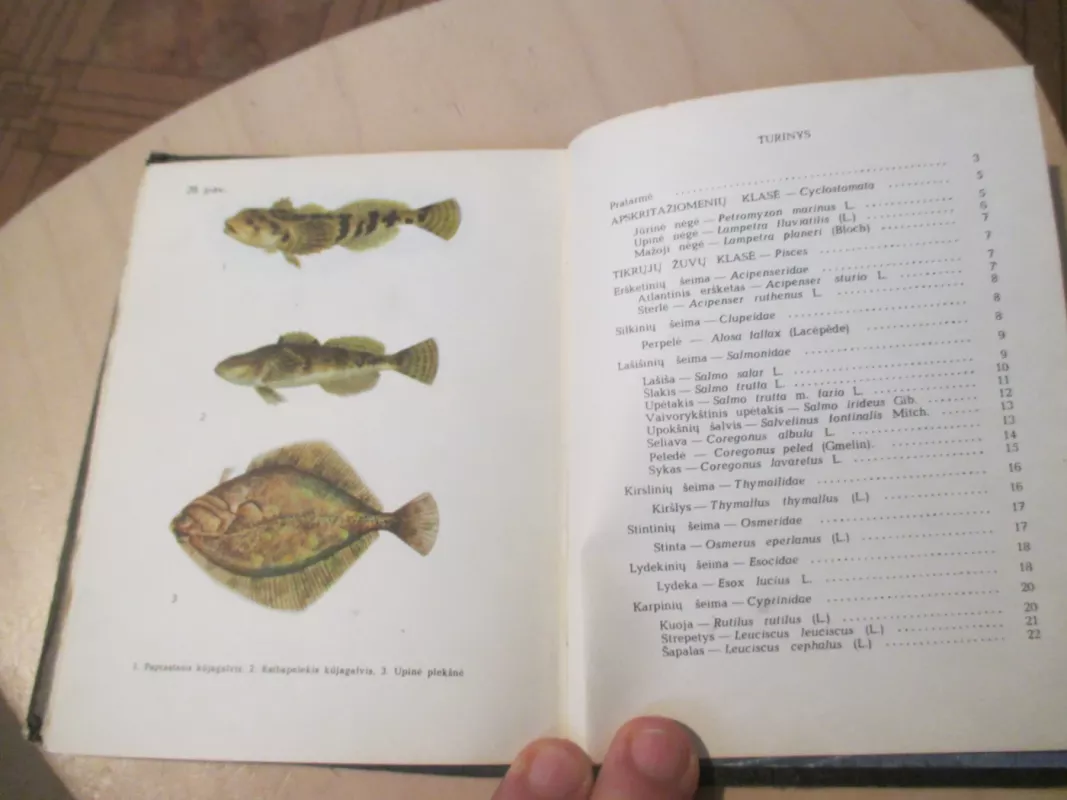 Lietuvos gėlavandenės žuvys - R. Krotas, knyga 4