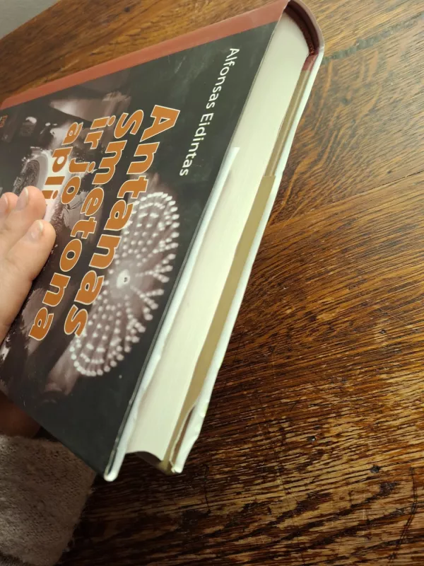 Antanas Smetona ir jo aplinka - Alfonsas Eidintas, knyga 6