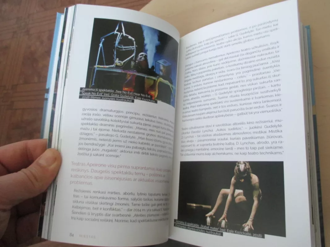 Klaipėda. Alternatyvus miesto gidas - Klaipėda. Alternatyvus miesto gidas, knyga 5