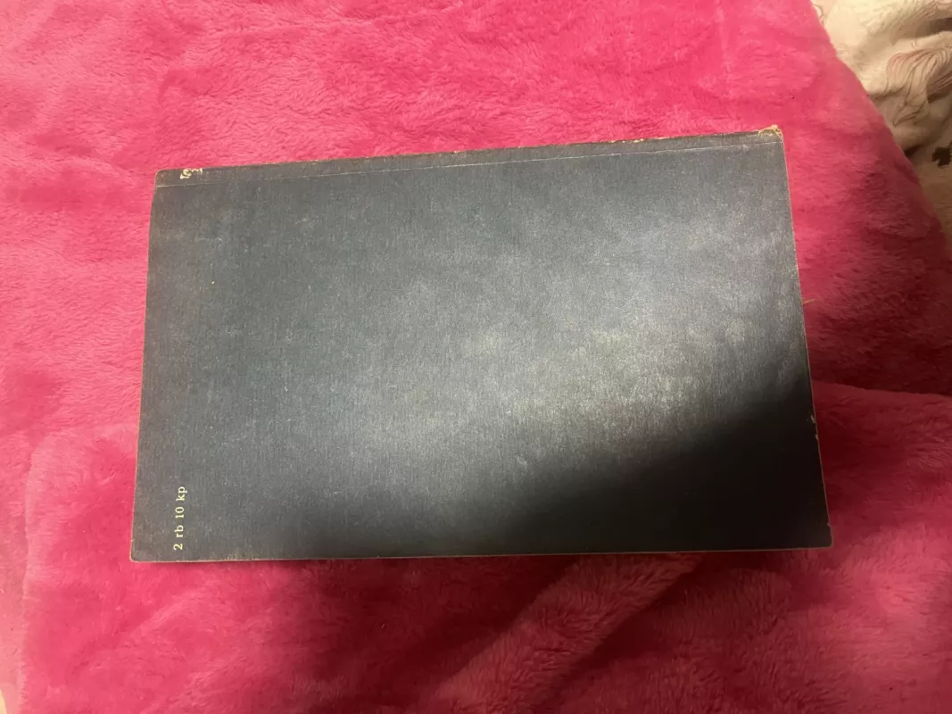 Viešnia iš Šiaurės - Antanas Vienuolis, knyga 3