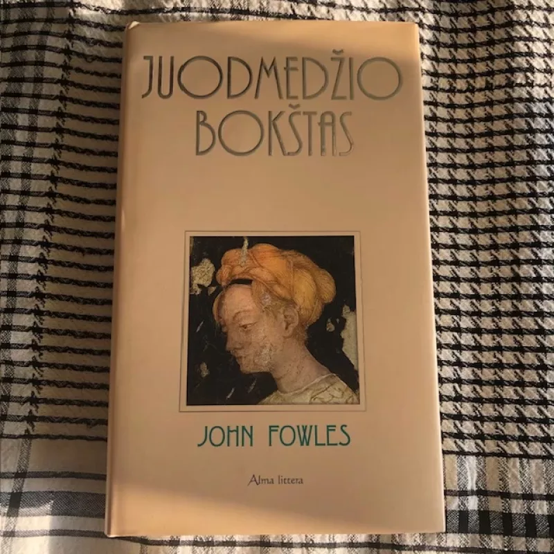 Juodmedžio bokštas 2006 - John Fowles, knyga 2
