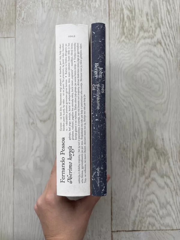 Nerimo knyga - Fernando Pessoa, knyga 4