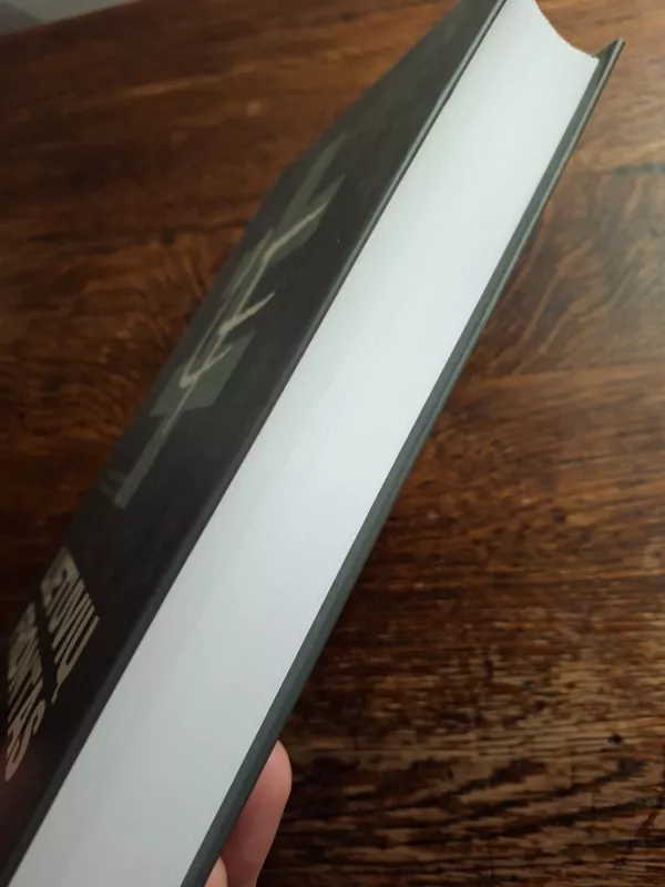 Lietuvių frontas (1 dalis) - Mindaugas Bloznelis, knyga 2