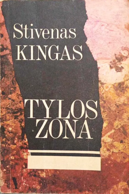Tylos zona - Stivenas Kingas, knyga 2