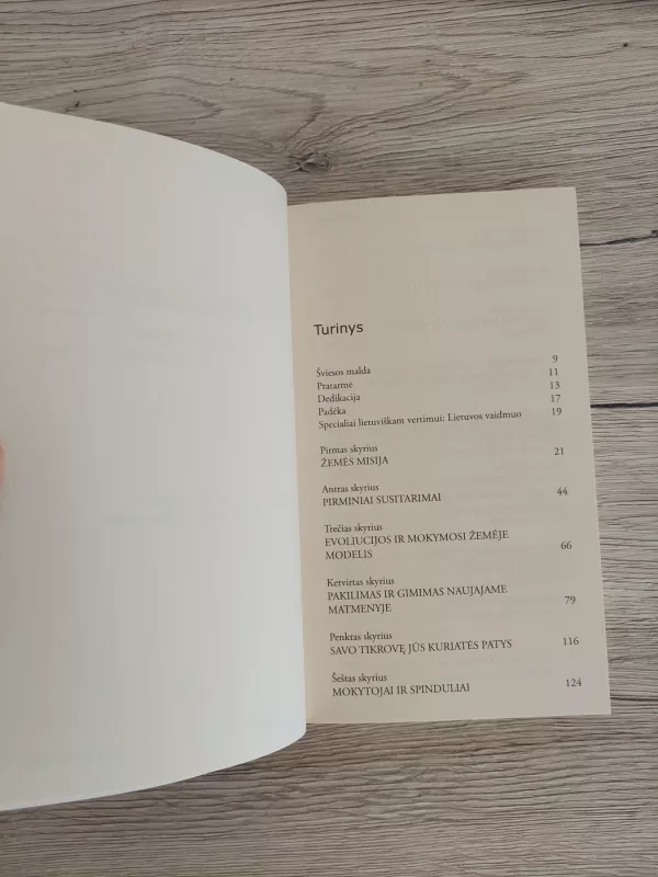 Budintojai - Sandy Stevenson, knyga 4