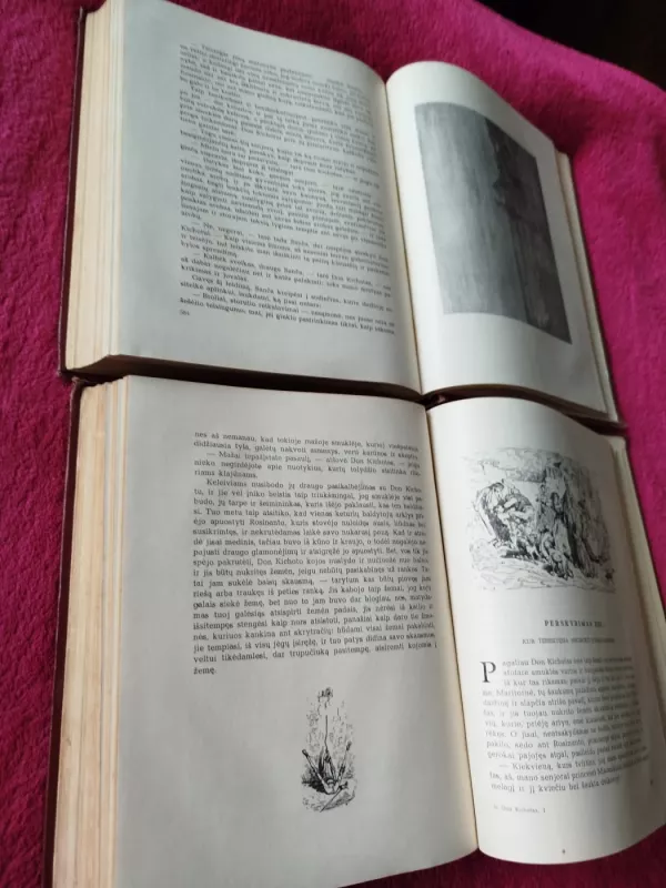 Don Kichotas (I-II dalys) - Migelis de Servatesas, knyga 5