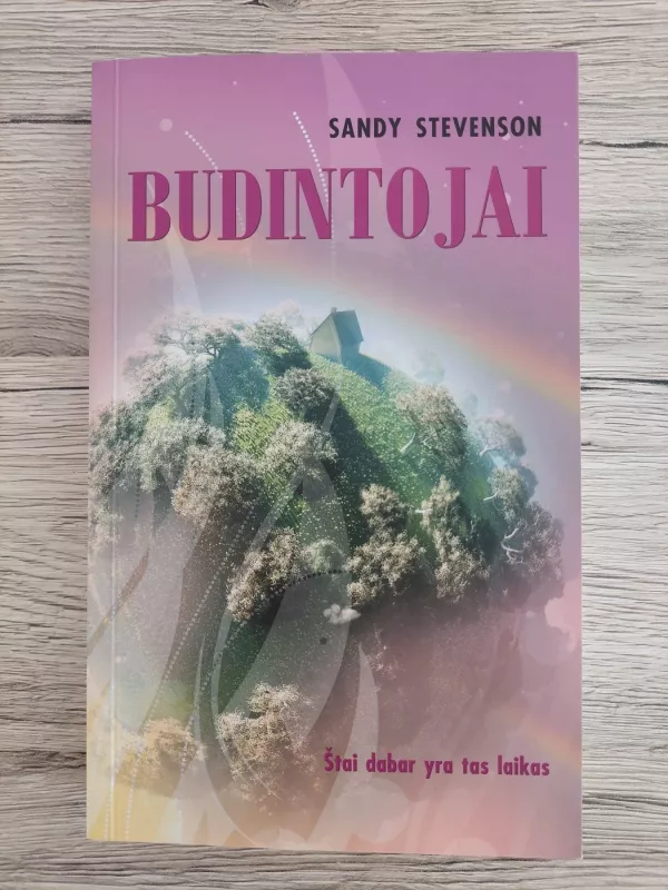 Budintojai - Sandy Stevenson, knyga 2