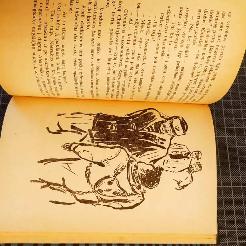 Perkūnas netrenkia į laivą - Algimantas Čekuolis, knyga 5