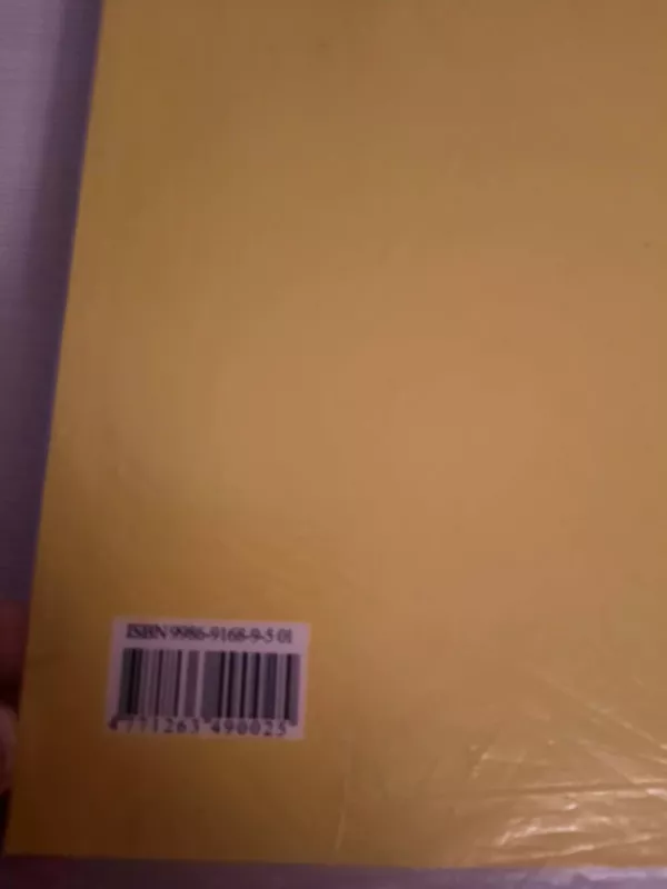 ŠEIMOS TEISĖ - Autorių kolekyvas, knyga 4