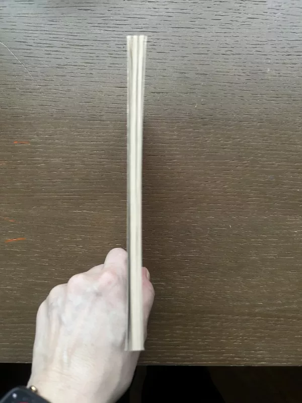 Eilėraščių rinkinys „METŪGĖS“ - Birutė Pūkelevičiūtė, knyga 3