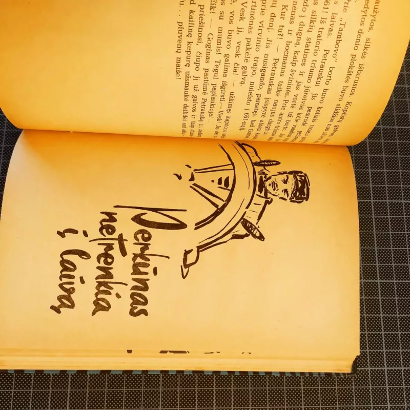 Perkūnas netrenkia į laivą - Algimantas Čekuolis, knyga 4