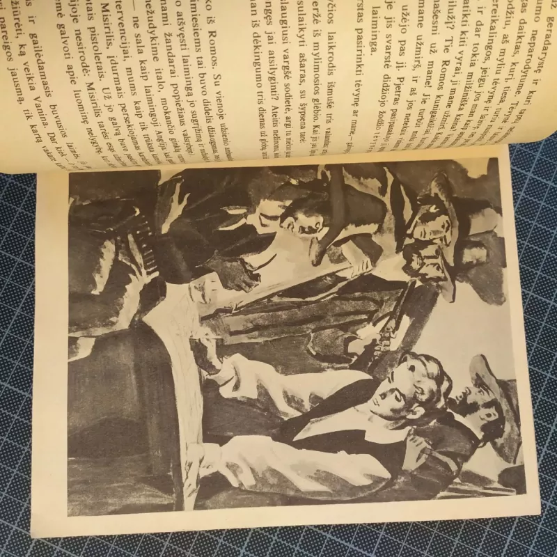 Vanina Vanini - Autorių Kolektyvas, knyga 4