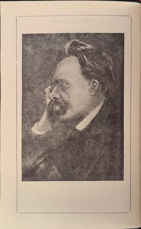 Frydrichas Nyčė. Raštai dviem tomais - Frydrichas Nyčė, knyga 4