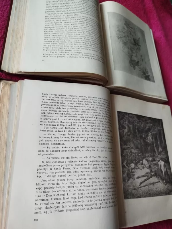 Don Kichotas (I-II dalys) - Migelis de Servatesas, knyga 4