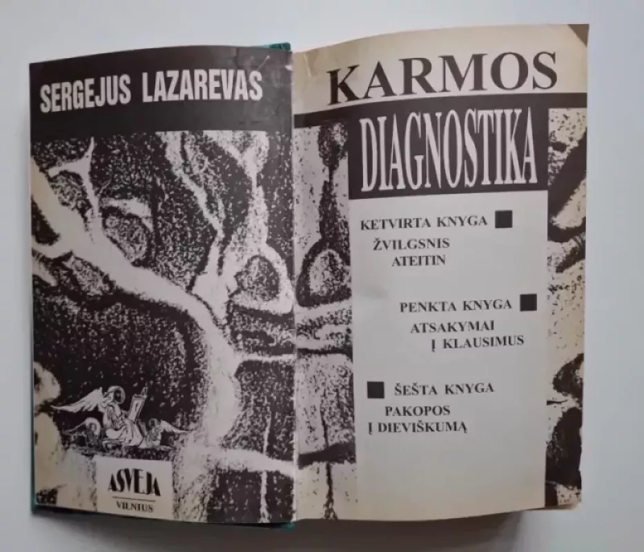 Karmos diagnostika 4 5 6 dalys. - Sergejus Lazerevas, knyga 3