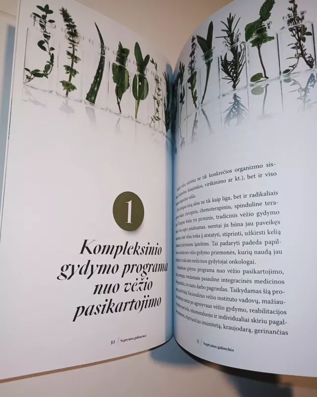 Septynios galimybės.Kaip saugotis vėžio pasikartojimo - Juozas Ruolia, knyga 4