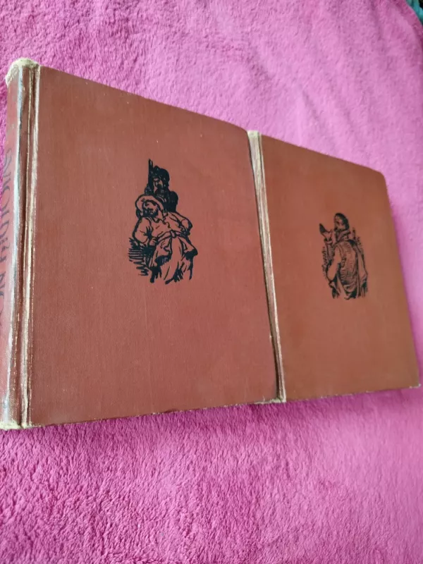 Don Kichotas (I-II dalys) - Migelis de Servatesas, knyga 2