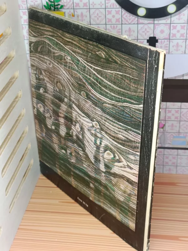 Bronė Valantinaitė-Jakūbonienė - T. Sakalauskas, knyga 4