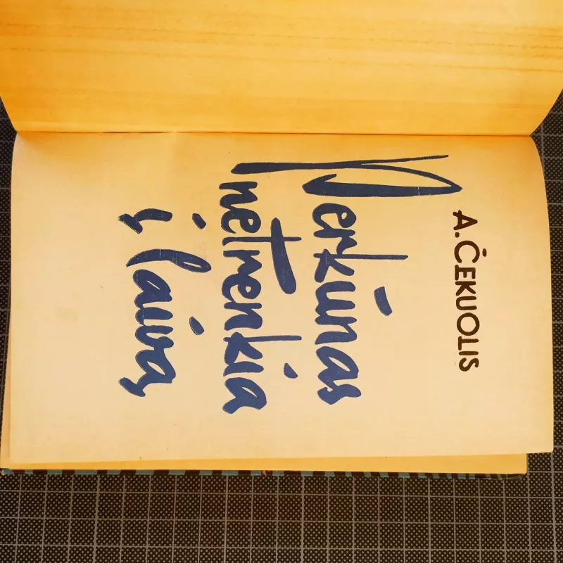 Perkūnas netrenkia į laivą - Algimantas Čekuolis, knyga 3