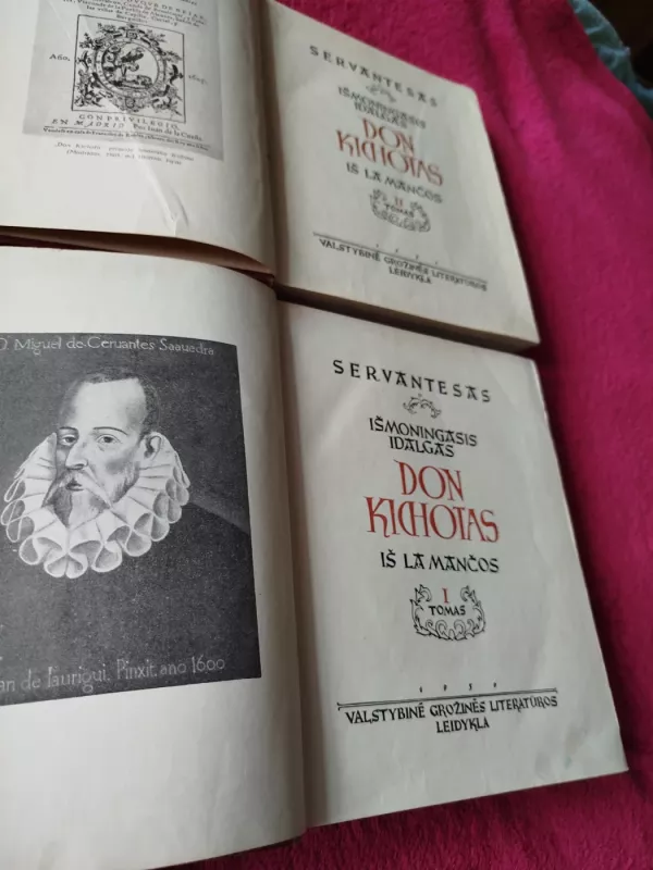 Don Kichotas (I-II dalys) - Migelis de Servatesas, knyga 3